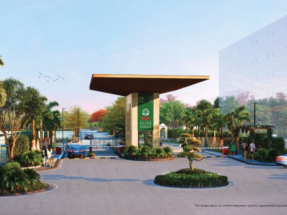 M2k-olive-green-floors-sector-104-gurgaon