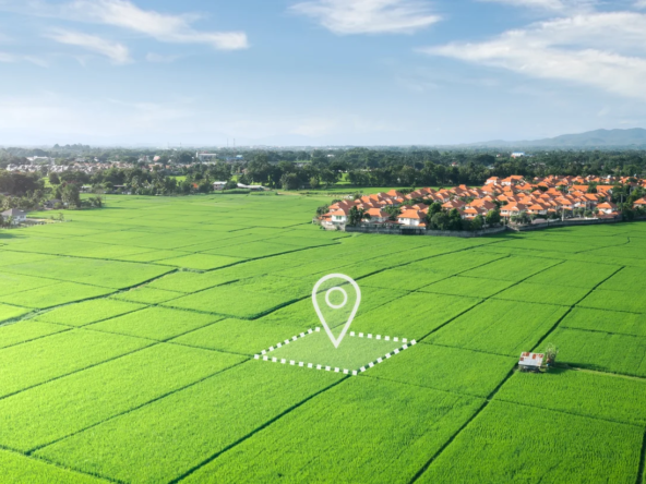 Roof-vedmaan-sector-27-jhajjar